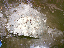 Bustar expansive grout Bustar expansive grout